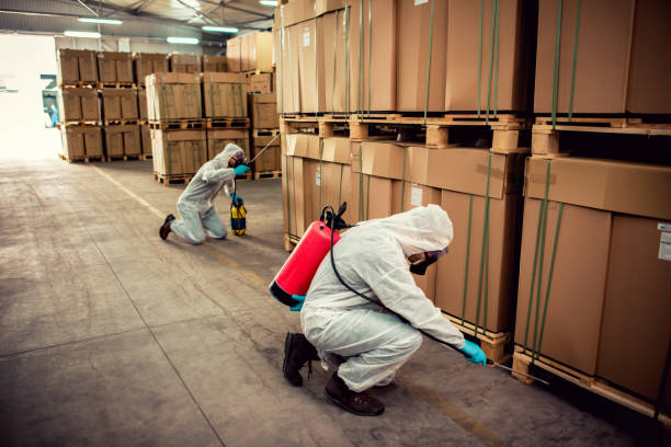Best Best Pest Control Companies  in Milford, IA