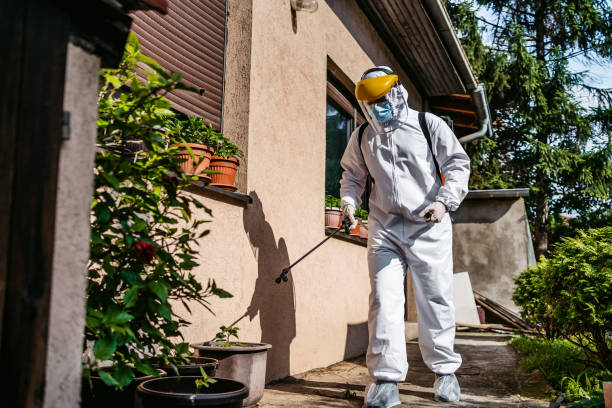 Best Pest Inspection Near Me  in Milford, IA