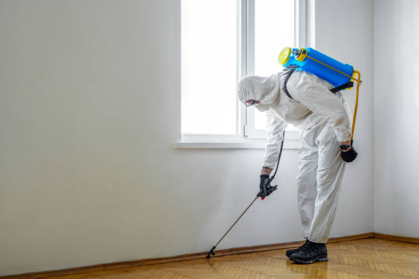 Best Affordable Pest Control Services  in Milford, IA