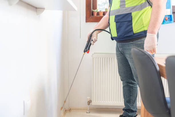 Best Termite Control Services  in Milford, IA
