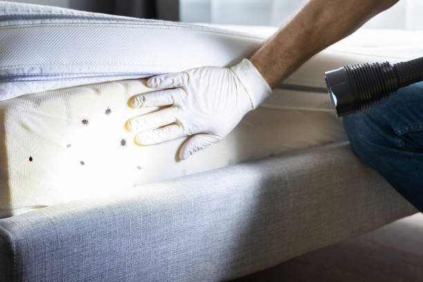 Best Pest Prevention Services  in Milford, IA