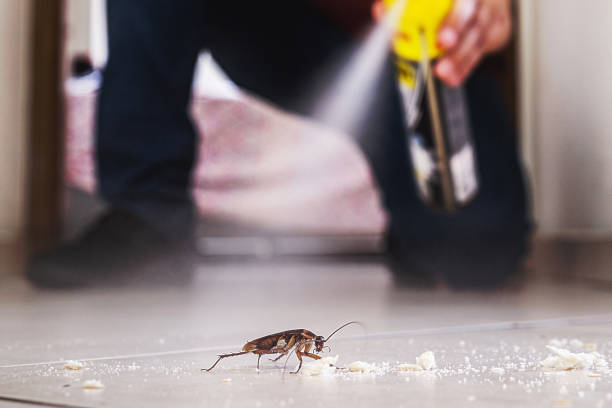 Best Exterminator Services  in Milford, IA
