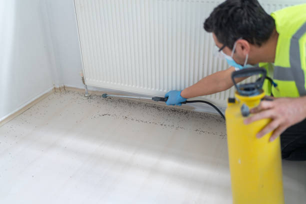 Best Best Pest Control Companies  in Milford, IA